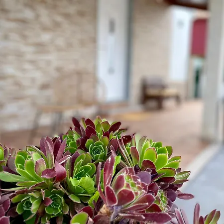 Casa Muino Holiday home Bainas